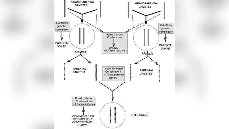 When few survive to tell the tale: thymus and gonad as auditioning   organs: historical overview