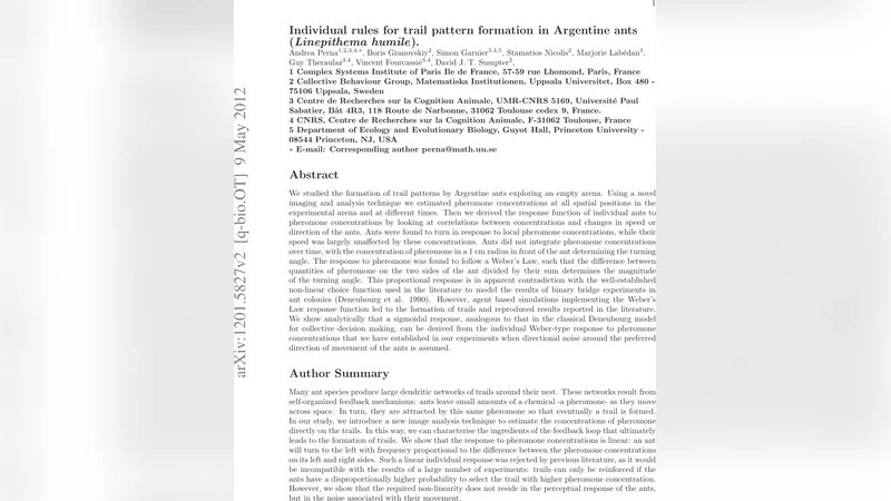 Individual rules for trail pattern formation in Argentine ants   (Linepithema humile)