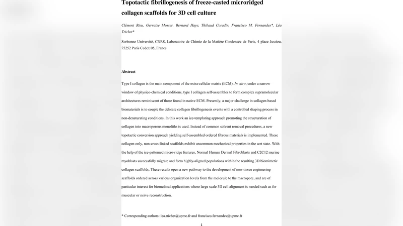Topotactic fibrillogenesis of freeze-casted microridged collagen   scaffolds for 3D cell culture