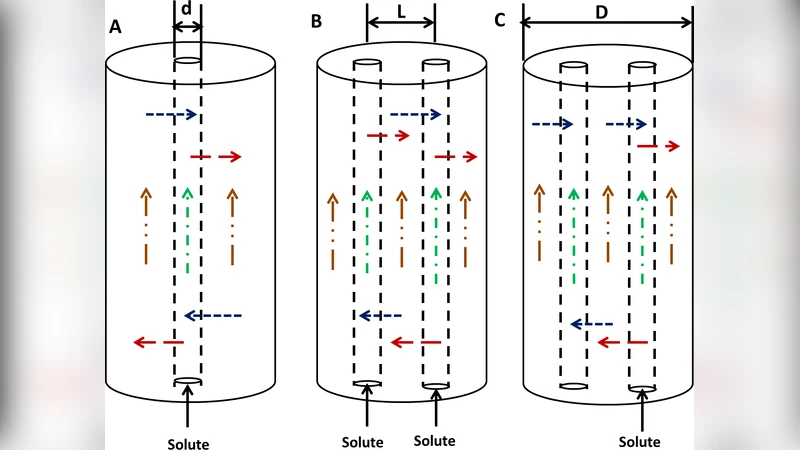 Mixture theory modeling for characterizing solute transport in breast   tumor tissues