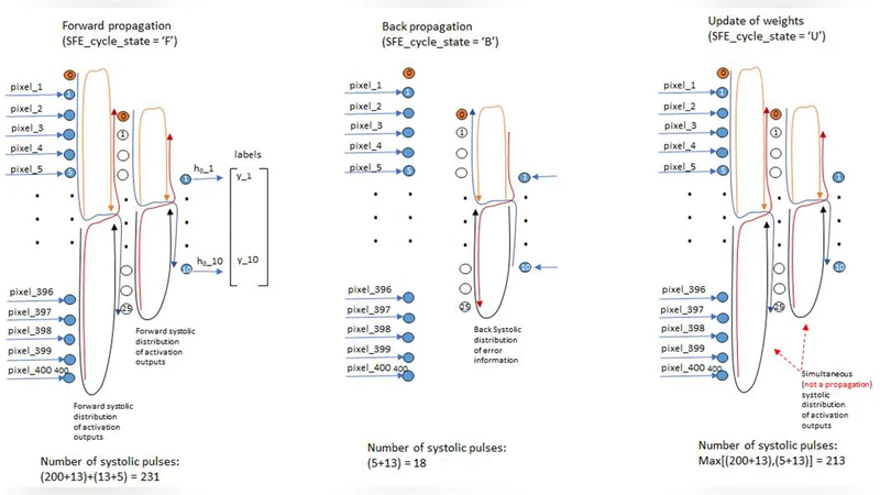 Field-Programmable Deep Neural Network (DNN) Learning and Inference   accelerator: a concept