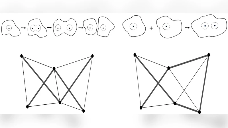 Generation of planar tensegrity structures through cellular   multiplication