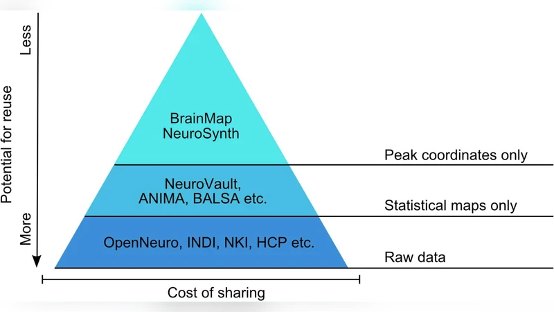 Computational and informatics advances for reproducible data analysis in   neuroimaging
