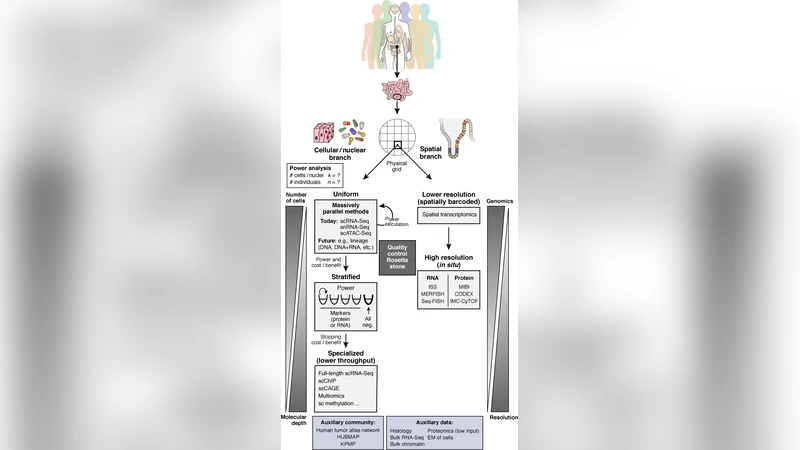 The Human Cell Atlas White Paper