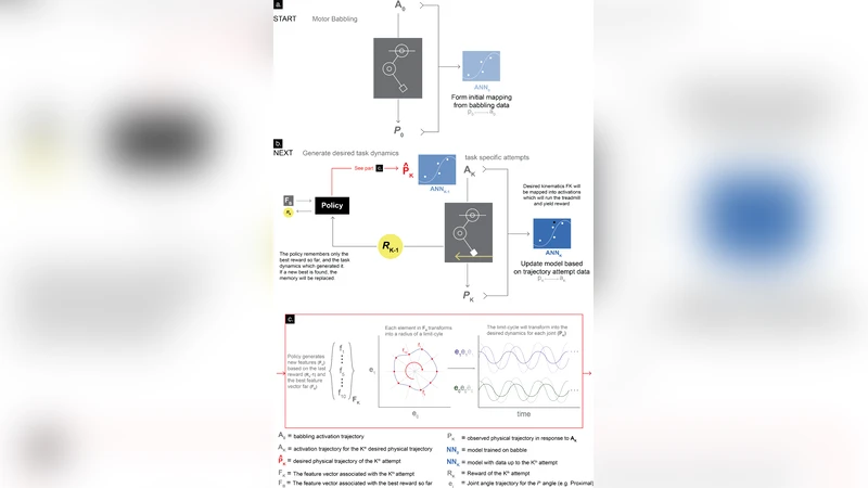 Autonomous Functional Locomotion in a Tendon-Driven Limb via Limited   Experience