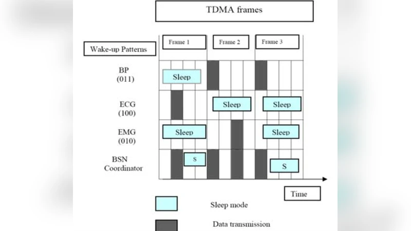 MAC Layer Hurdles in BSNs