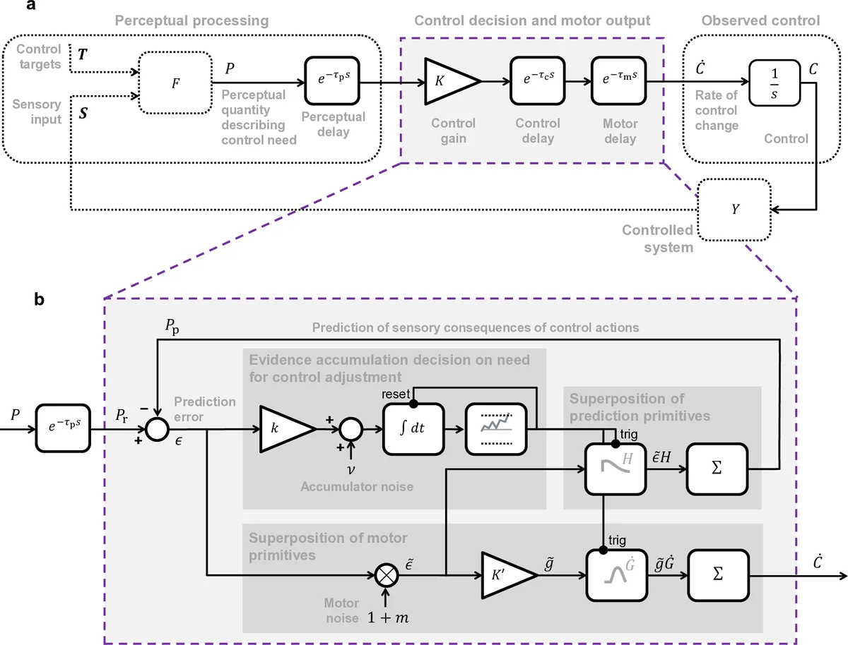 Sustained sensorimotor control as intermittent decisions about   prediction errors: Computational framework and application to ground vehicle   steering