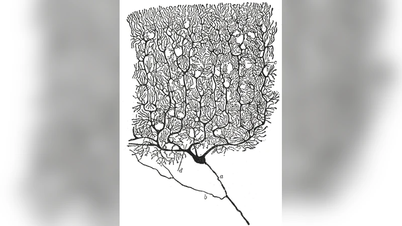 Efficient Tree Solver for Hines Matrices on the GPU