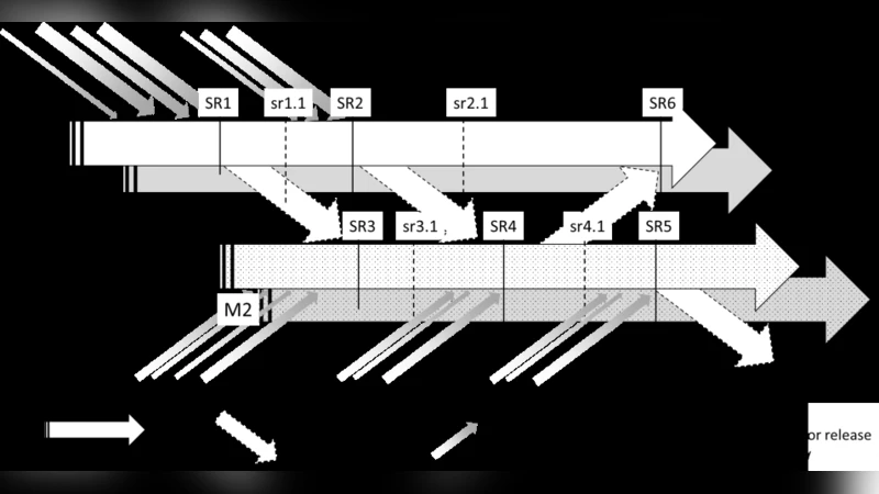 An Empirical Study on Decision making for Quality Requirements