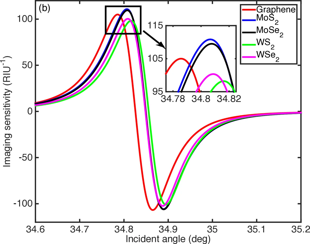 Ultrasensitive and highly accurate long-range surface plasmon resonance   biosensors based on two-dimensional transition metal dichalcogenides