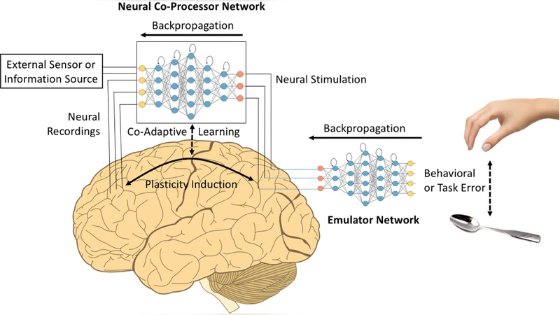 Towards Neural Co-Processors for the Brain: Combining Decoding and   Encoding in Brain-Computer Interfaces
