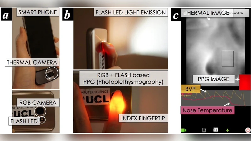 Instant Automated Inference of Perceived Mental Stress through   Smartphone PPG and Thermal Imaging