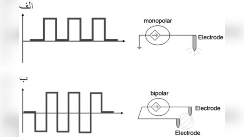 Brain Electrical Stimulation for Animal Navigation