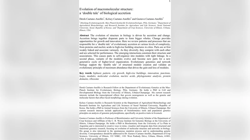 Evolution of macromolecular structure: a double tale of biological   accretion