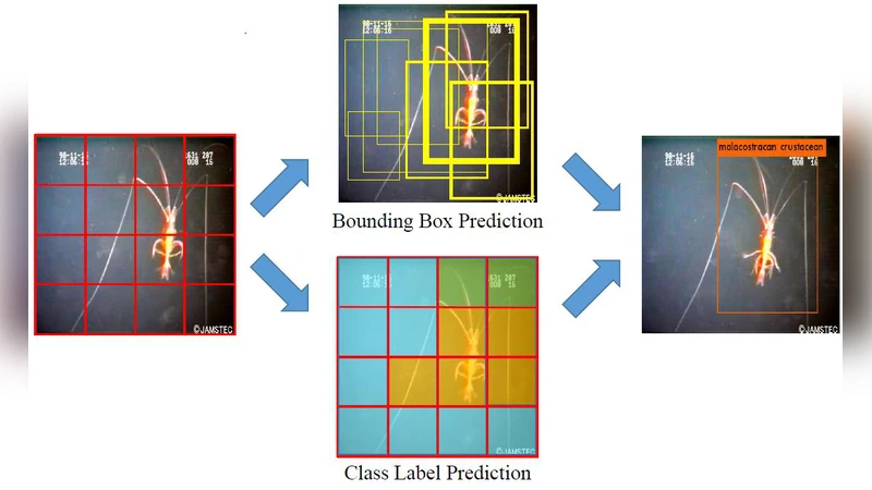 CONet: A Cognitive Ocean Network