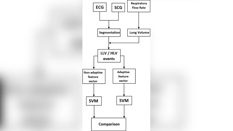 An Adaptive Feature Extraction Algorithm for Classification of   Seismocardiographic Signals