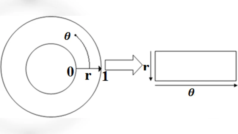 Iris Image Processing in Compressive Sensing Scenario