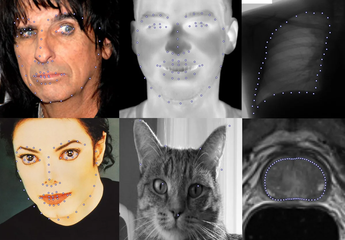 Super-realtime facial landmark detection and shape fitting by deep   regression of shape model parameters