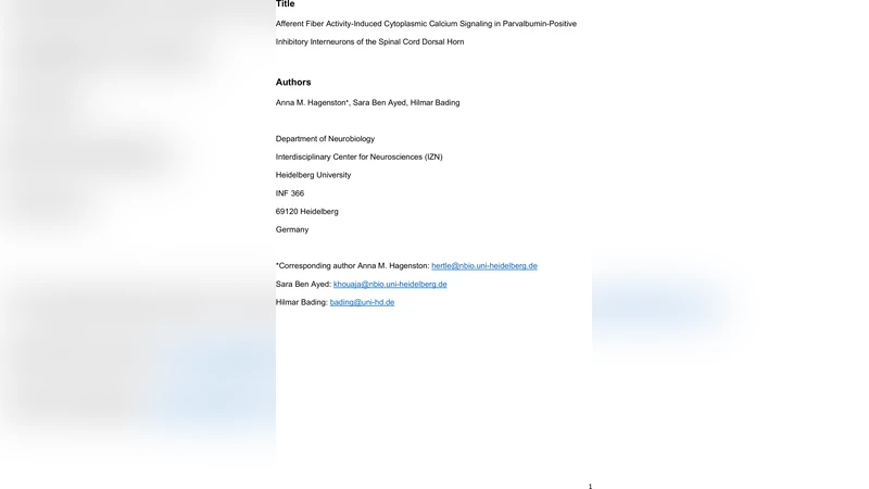 Afferent Fiber Activity-Induced Cytoplasmic Calcium Signaling in   Parvalbumin-Positive Inhibitory Interneurons of the Spinal Cord Dorsal Horn