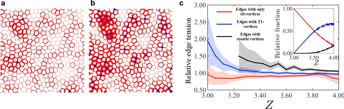 Multicellular rosettes drive fluid-solid transition in epithelial   tissues
