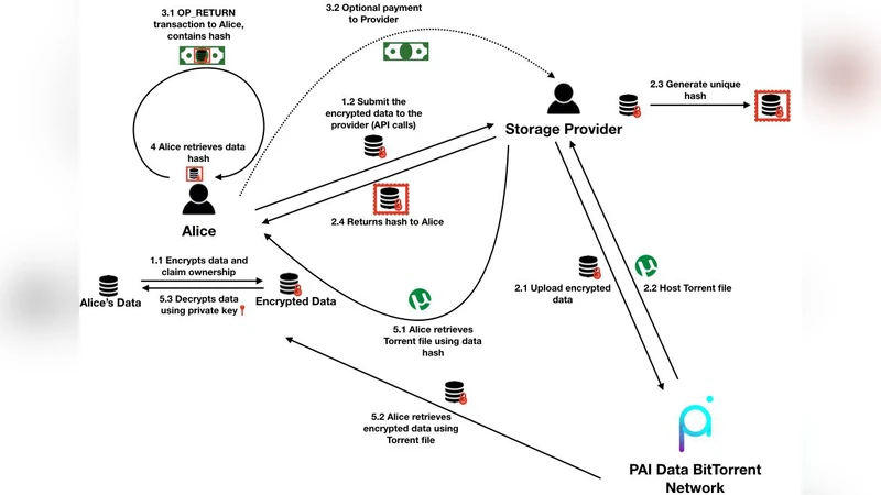 PAI Data, Summary of the Project PAI Data Protocol