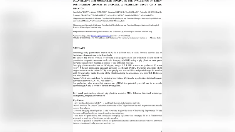 Quantitative MRI molecular imaging in the evaluation of early post   mortem changes in muscles. A feasibility study on a pig phantom