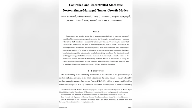 Controlled and Uncontrolled Stochastic Norton-Simon-Massague Tumor   Growth Models