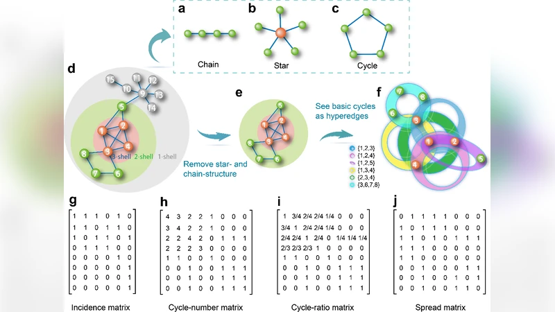 Towards the cycle structures in complex network: A new perspective