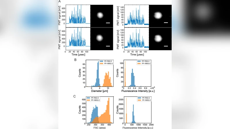 Imaging cytometry without image reconstruction (ghost cytometry)