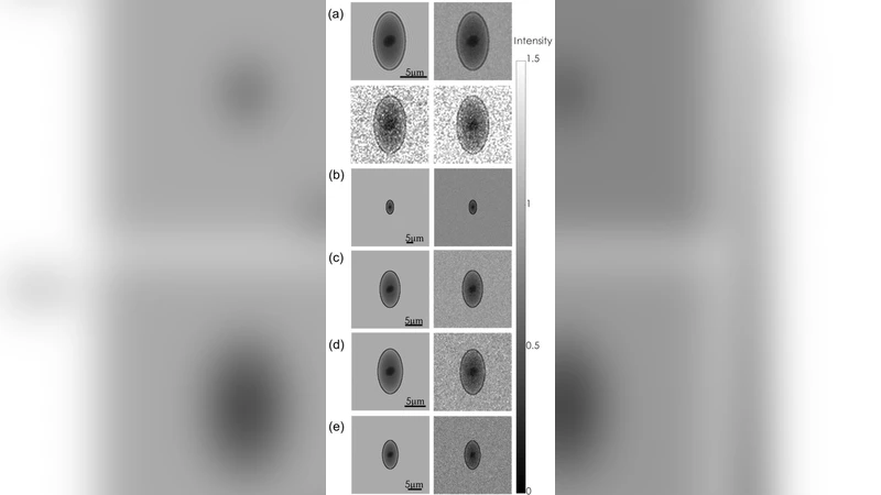 Is multiplexed off-axis holography for quantitative phase imaging more   spatial bandwidth-efficient than on-axis holography?