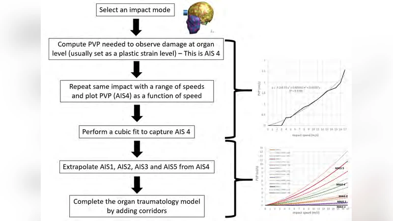 A Deterministic Method to Calculate the AIS Trauma Score from a Finite   Element Organ Trauma Model (OTM)
