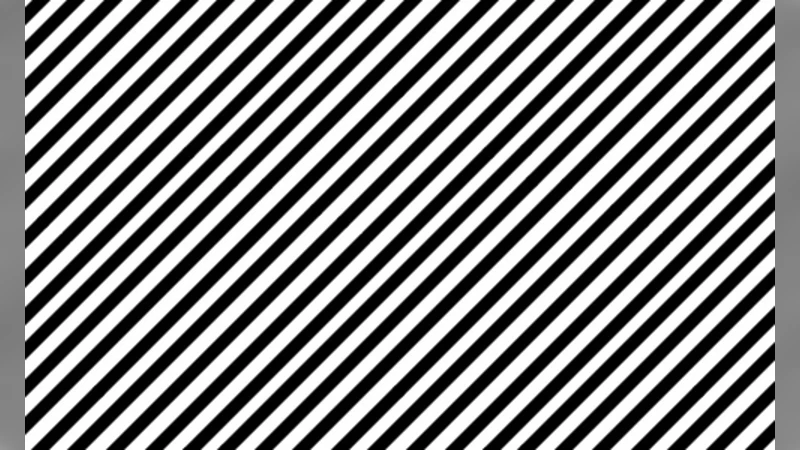 Toxic Code Snippets on Stack Overflow