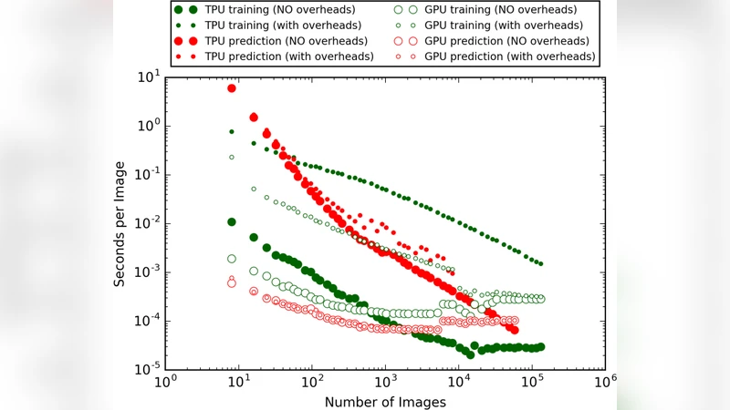 Batch Size Influence on Performance of Graphic and Tensor Processing   Units during Training and Inference Phases
