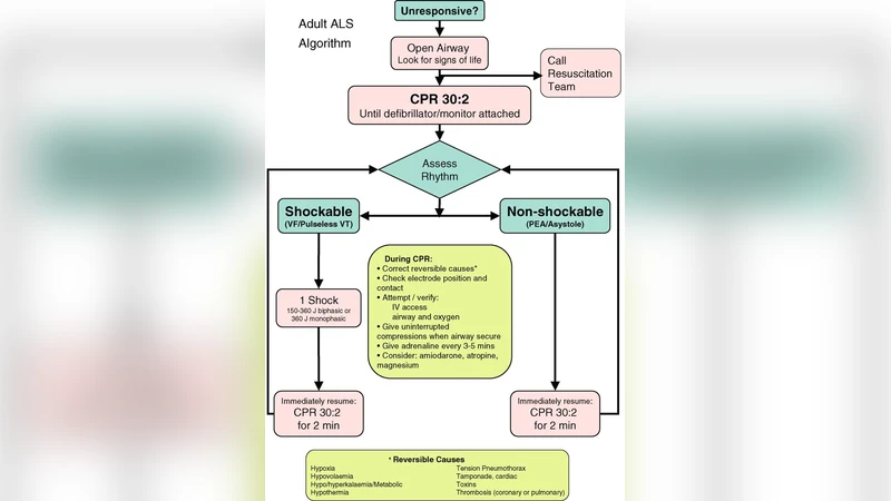 The design of an agent based model of human activities and   communications in cardiac resuscitation