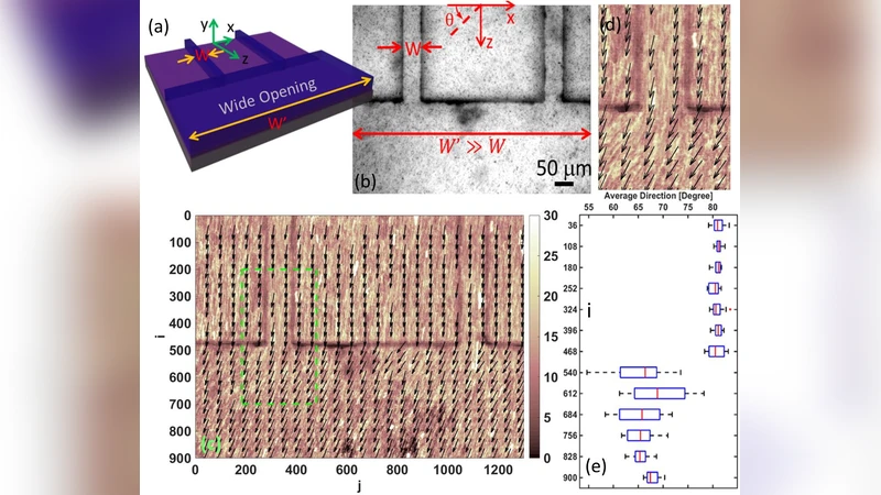 Tracking-free Determination of Microparticle Motion from Image Variance