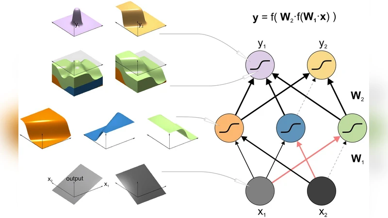 Neural network models and deep learning - a primer for biologists