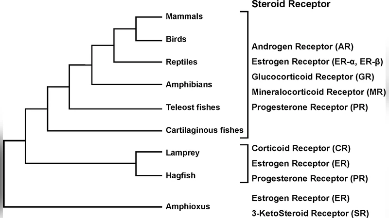 Steroid Receptors and Vertebrate Evolution