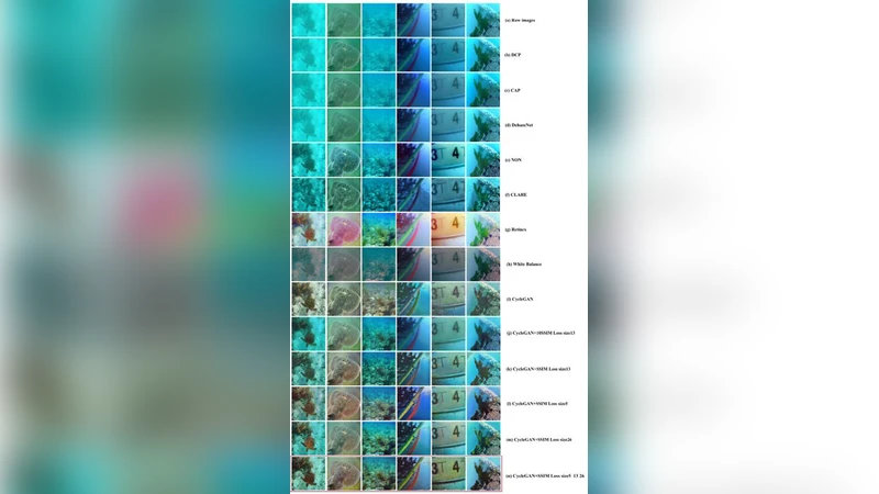 Analysis of Probabilistic multi-scale fractional order fusion-based   de-hazing algorithm