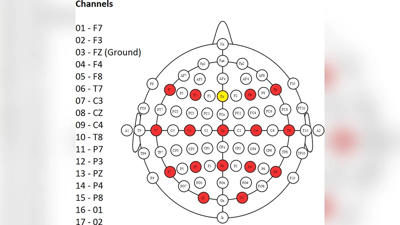 Building Brain Invaders: EEG data of an experimental validation
