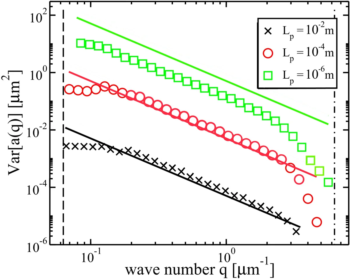 Non-equilibrium fluctuations of a semi-flexible filament driven by   active cross-linkers