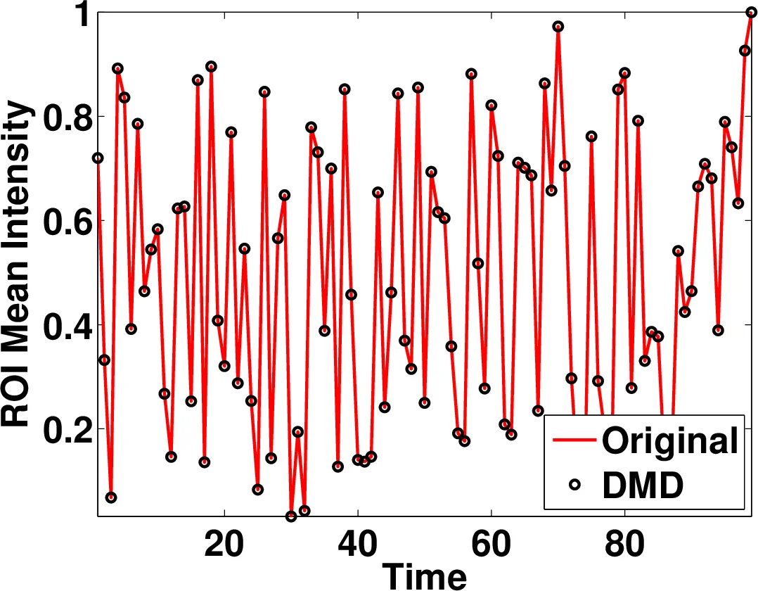 Functional Segmentation through Dynamic Mode Decomposition: Automatic   Quantification of Kidney Function in DCE-MRI Images