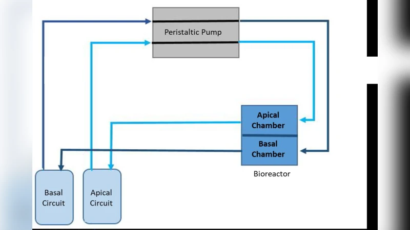 Real-time Cellular Impedance Monitoring and Imaging of Biological   Barriers in a dual flow membrane bioreactor
