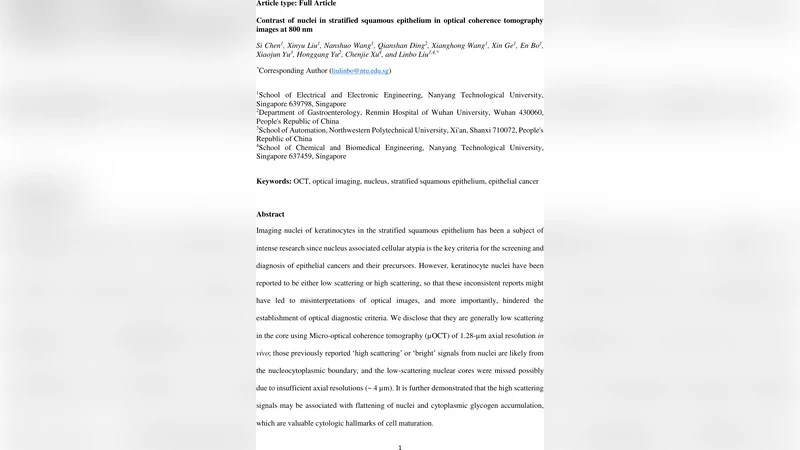 Contrast of nuclei in stratified squamous epithelium in optical   coherence tomography images at 800 nm