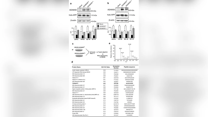ADAM30 Downregulates APP-Linked Defects Through Cathepsin D Activation   in Alzheimers Disease
