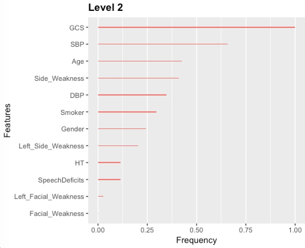 Automated Computer Evaluation of Acute Ischemic Stroke and Large Vessel   Occlusion