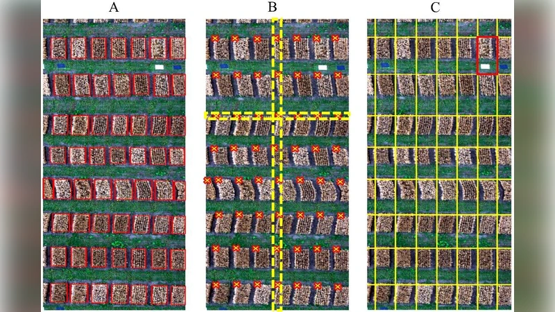 Aerial hyperspectral imagery and deep neural networks for   high-throughput yield phenotyping in wheat