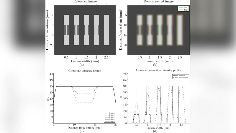 Improving CCTA based lesions hemodynamic significance assessment by   accounting for partial volume modeling in automatic coronary lumen   segmentation