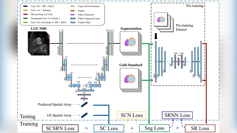 Cardiac Segmentation from LGE MRI Using Deep Neural Network   Incorporating Shape and Spatial Priors