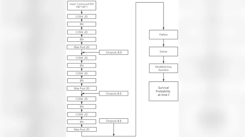 CNN-based Survival Model for Pancreatic Ductal Adenocarcinoma in Medical   Imaging