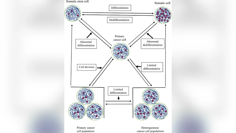 Flexible Cancer-Associated Chromatin Configuration (CACC) Might Be the   Fundamental Reason Why Cancer Is So Difficult to Cure